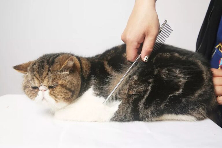 暖心护航学子扬帆追梦