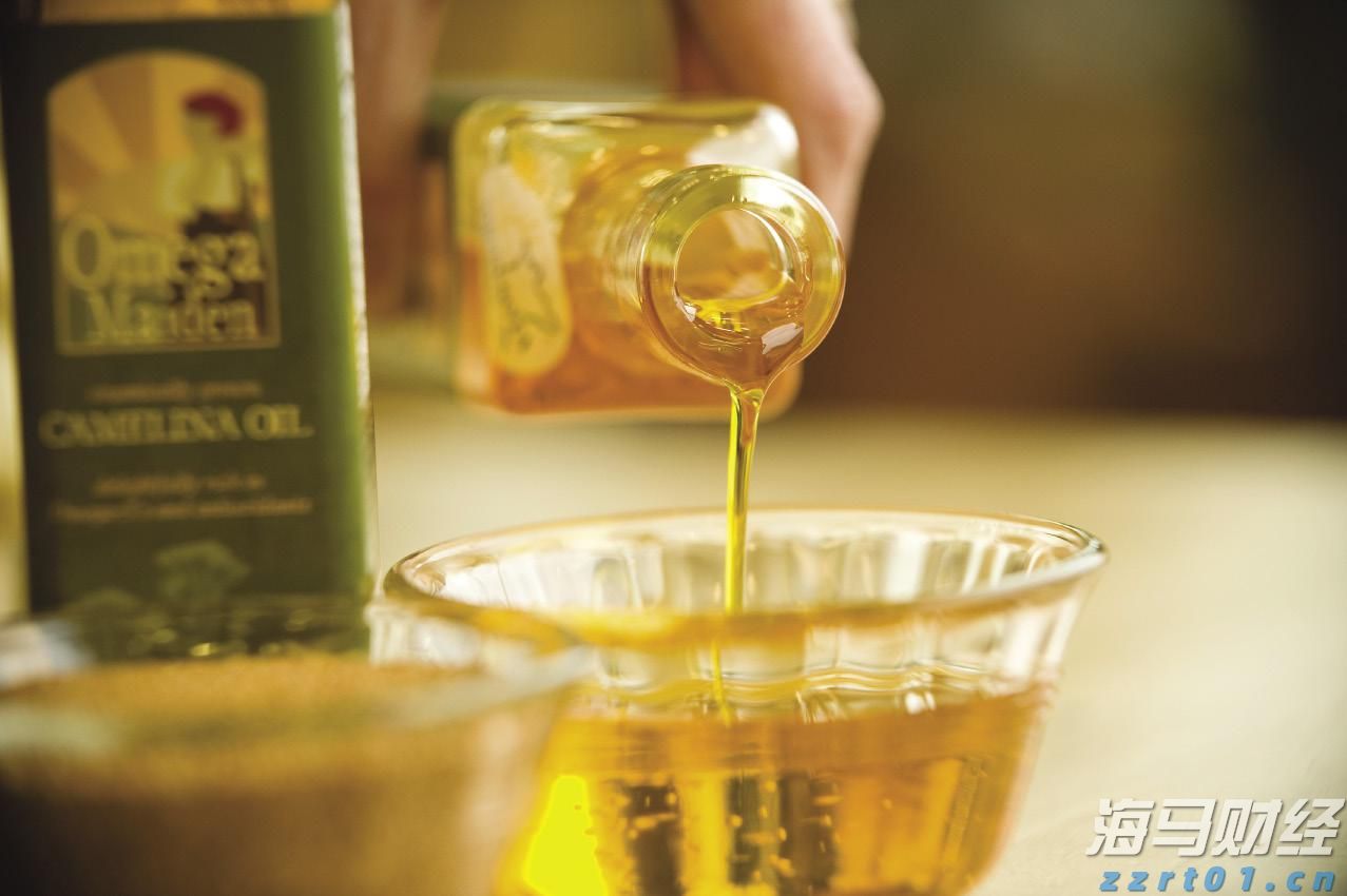 快讯丨市六届人大七次会议举行第二次全体会议