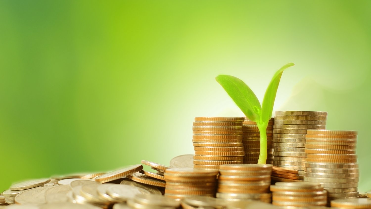 2025中国平安“妈妈的针线活”年度焕新计划在深启动