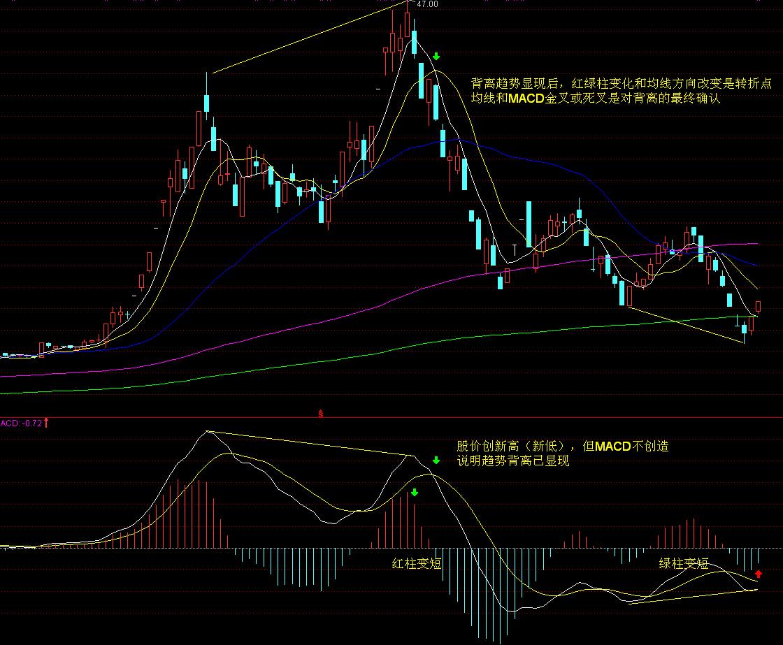 市疾控中心启动“百千万”职业健康科普宣传活动